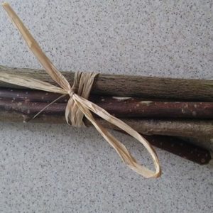 Pol ducata svinčnikov