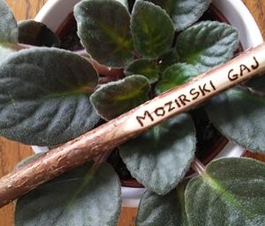 Svinčnik - graviran