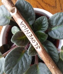 Svinčnik piščalka