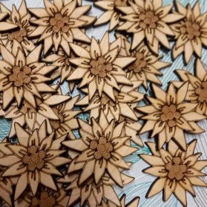 Lesen magnetek planika